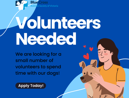 Volunteers Needed