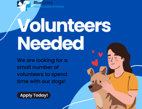 Volunteers Needed