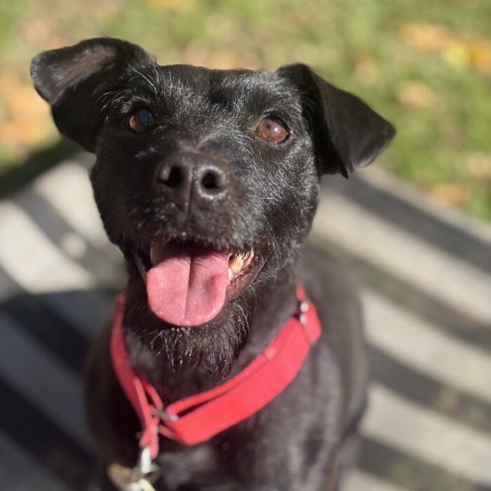 Luna