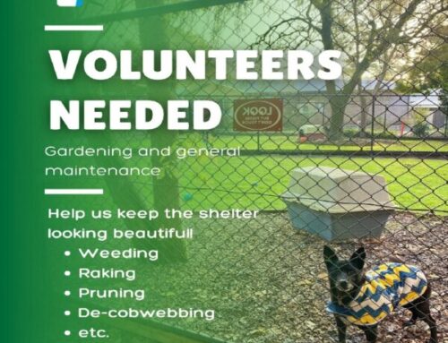 Volunteers Needed